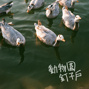 口球+手铐+脚铐+十字扣作文
