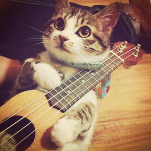 口球+手铐+脚铐+十字扣作文
